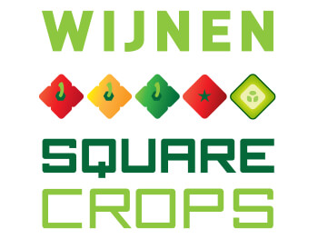 Wijnen Square Crops